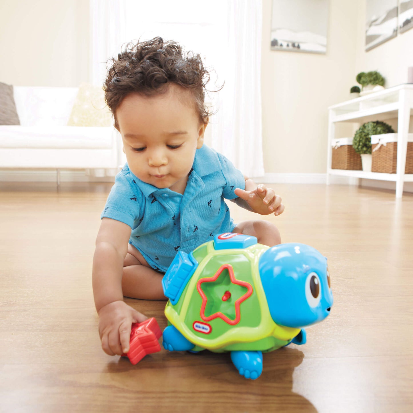 Crawl 'n Pop! Turtle - Shape Sorter & Crawling Toy / Little Tikes Signature