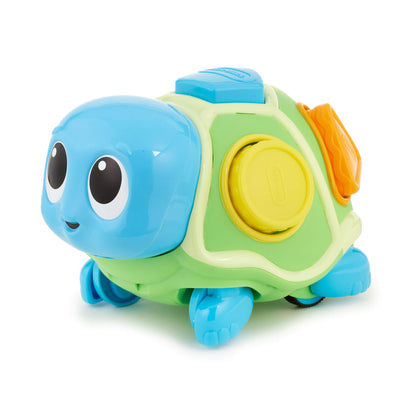 Crawl 'n Pop! Turtle - Shape Sorter & Crawling Toy / Little Tikes Signature